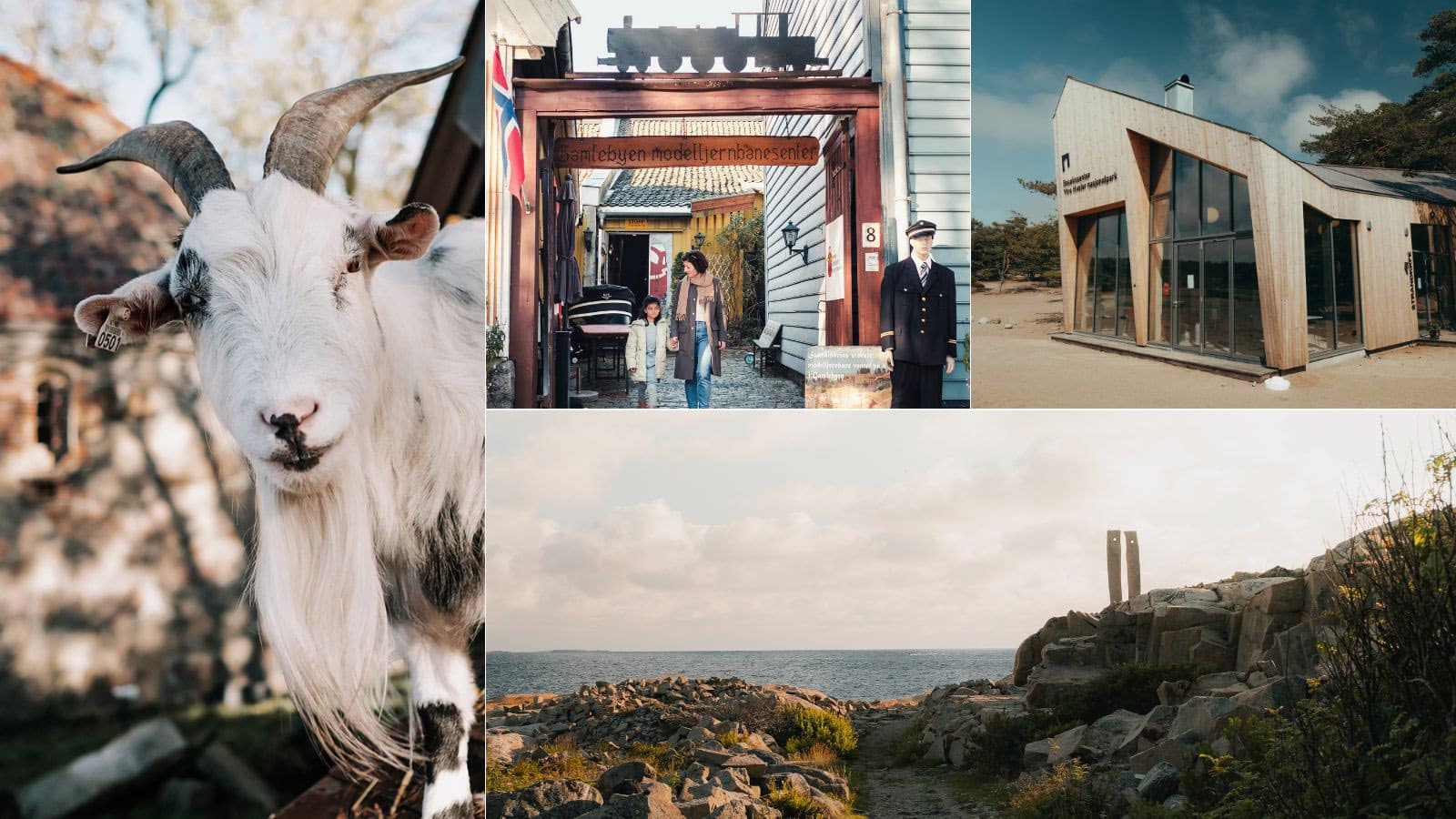 Høstferien i Fredrikstad og på Hvaler