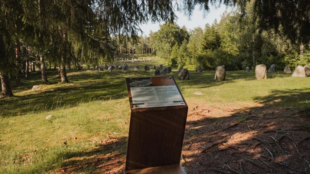 Informasjonstavle foran steinringer på Hunnfeltet i Fredrikstad, omgitt av skog og gress.