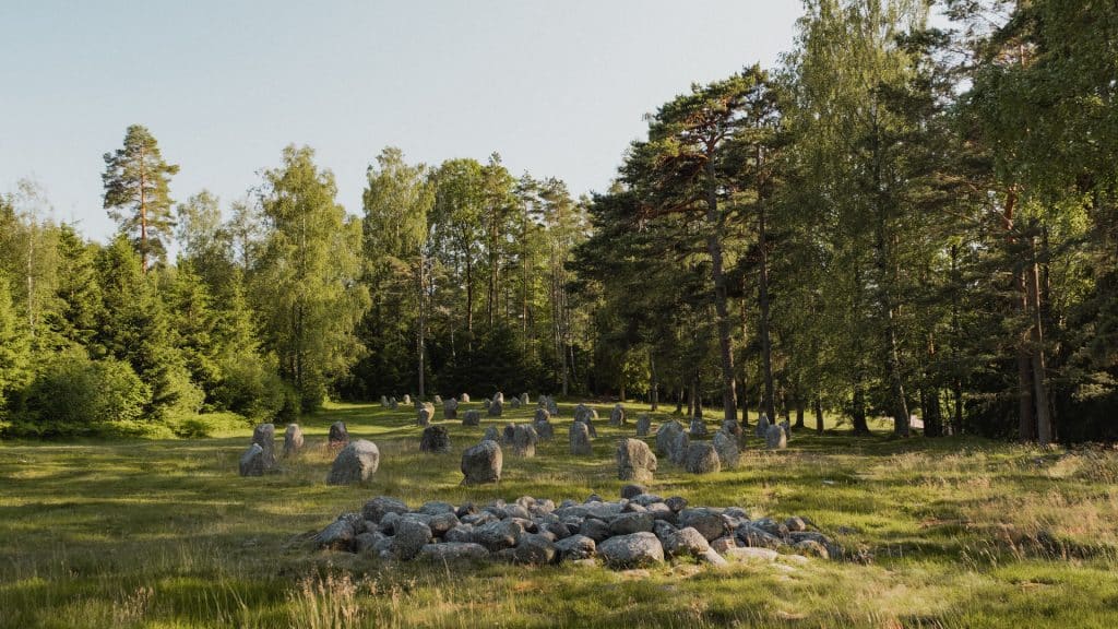 Oversikt over steinringer på Hunnfeltet i Fredrikstad, et stort gravfelt omgitt av skog.
