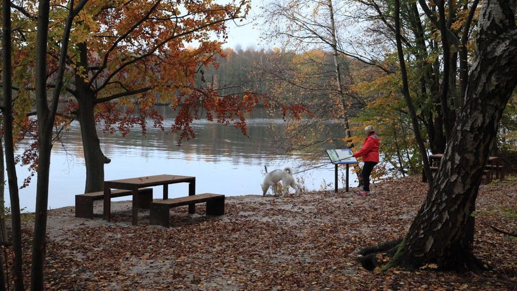 Informasjonsskilt og rasteplass ved Glomma, med person og hund under høstfargede trær.