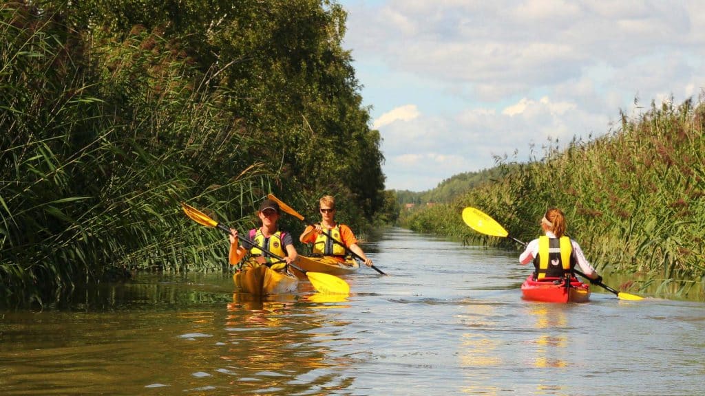 Tre personer padler kajakk langs en smal elv omgitt av siv og trær i Seutelva, Fredrikstad.