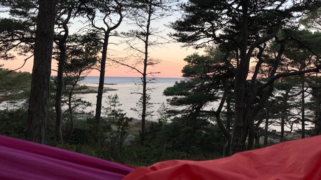 Utsikt over sjøen fra hengekøye på Bjørnehylla, Storesand.