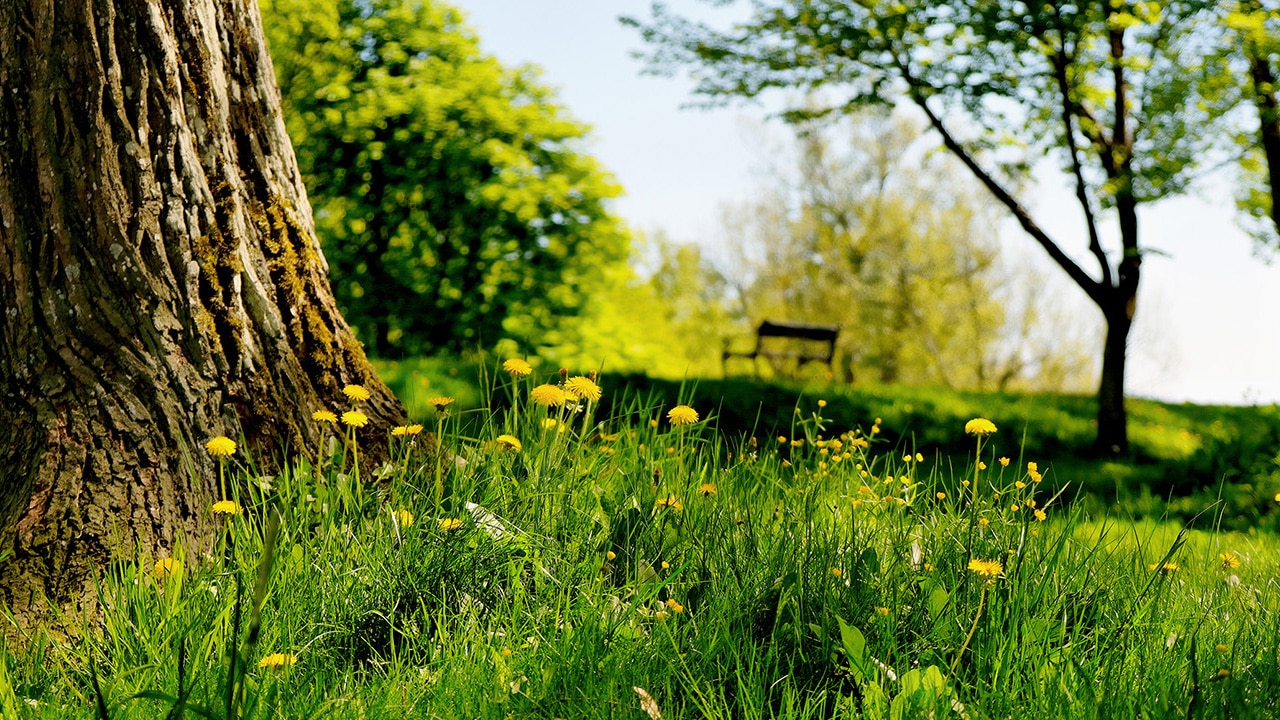 Ti tips til våropplevelser i Fredrikstad og på Hvaler